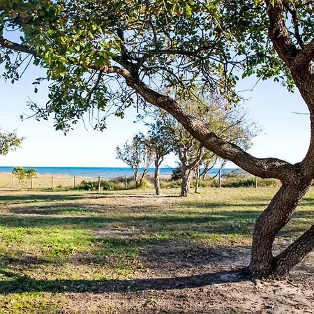 Natura 4p By Interhome * Santa-Maria-Poggio (Corsica)