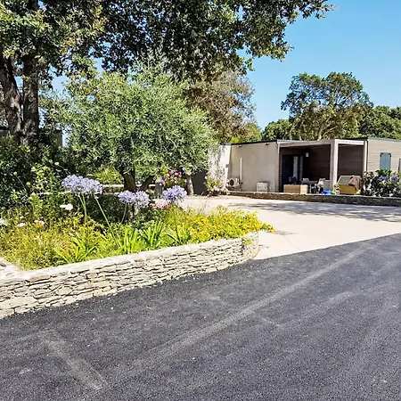 Natura 4p By Interhome 펜션 Santa-Maria-Poggio (Corsica)